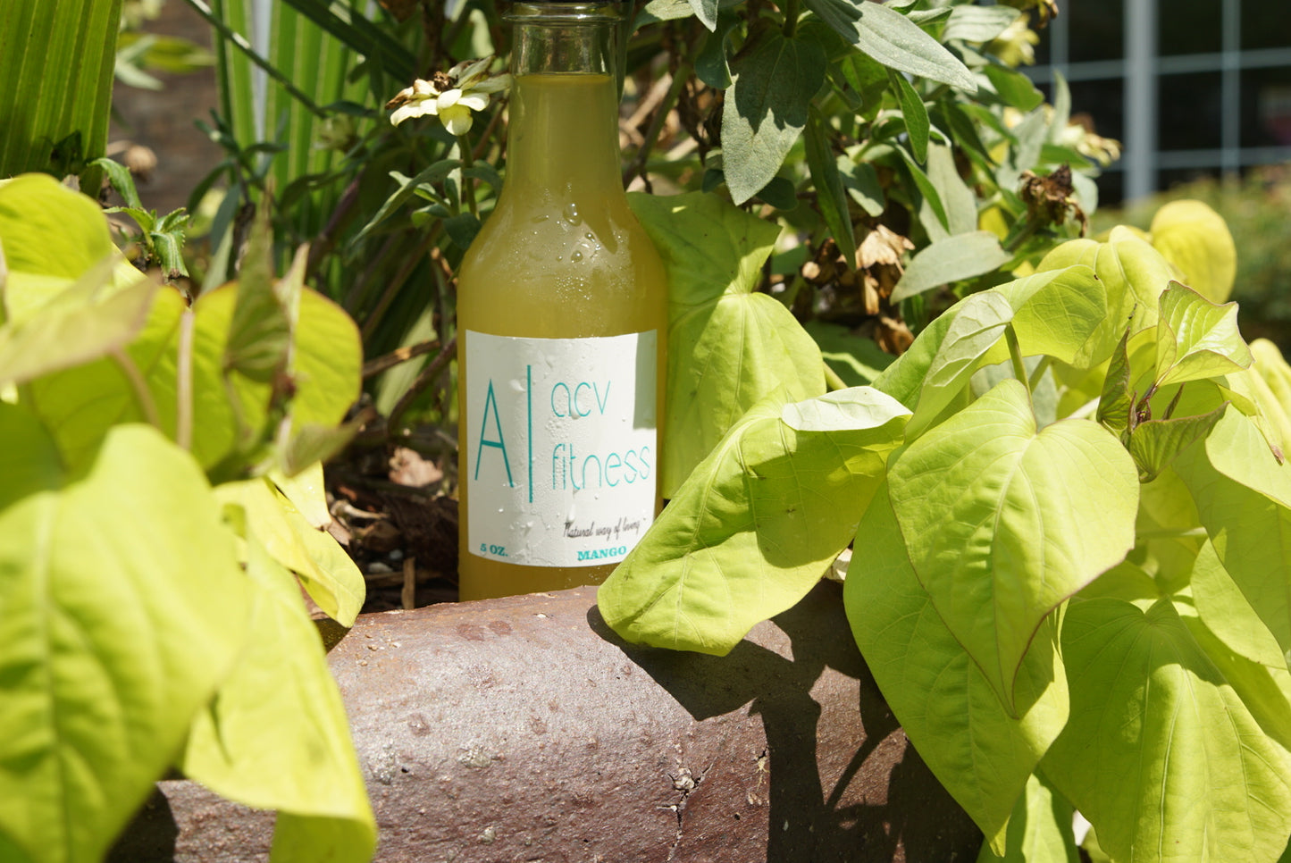 ACV Detox